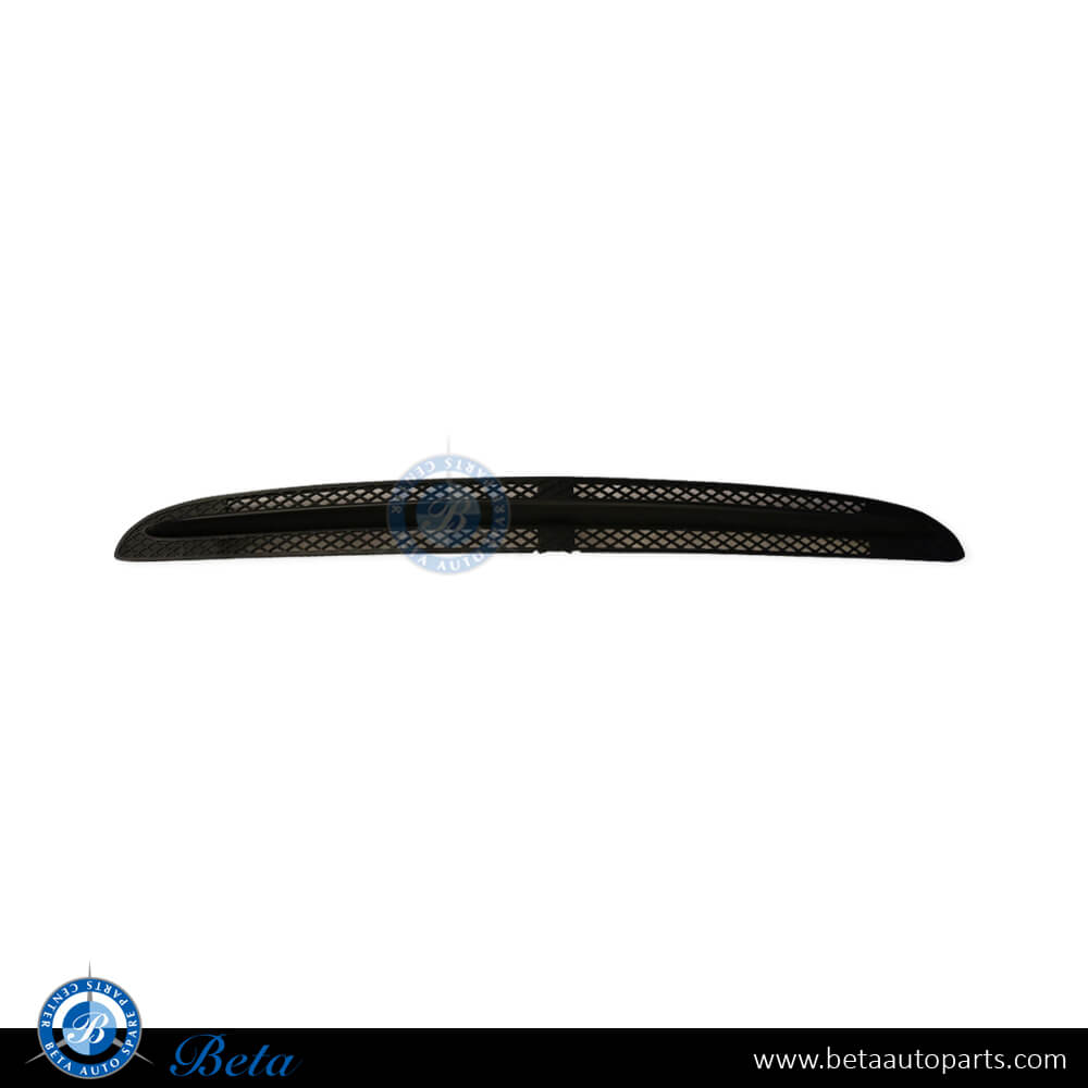 Front Bumper Lower Grille with Line for Mercedes S-Class W220 2003-2005 models, Part Number 2208850923 Front Bumper Lower Grille with Line for Mercedes S-Class W220 2003-2005 models, Part Number 2208850923